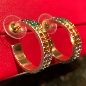 Multicolor Crystal Two  Row Hoop Earrings